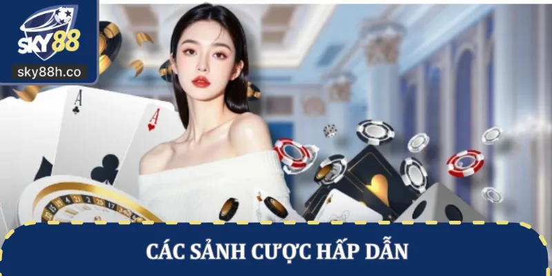 Các sảnh cược hấp dẫn