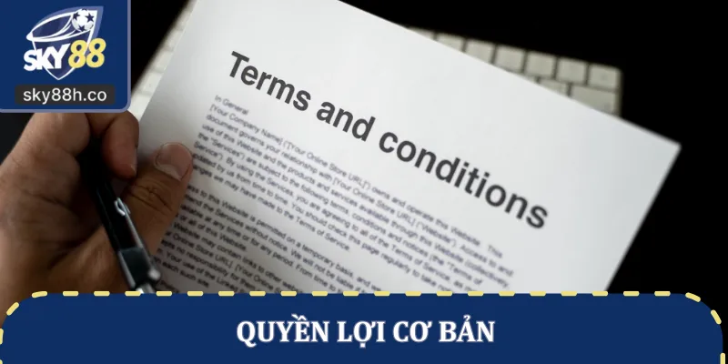 Quyền lợi cơ bản